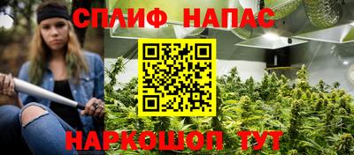 бошки Кинель