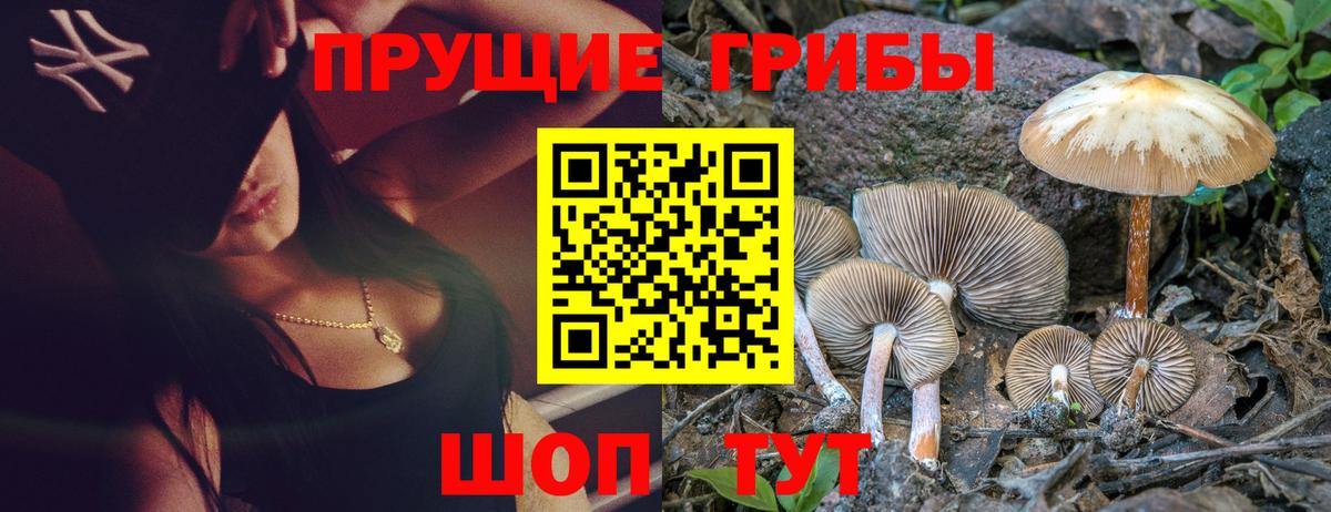 Коряжма  Галлюциногенные грибы Cubensis  Псилоцибиновые грибы GOLDEN TEACHER  Вход с VPN 