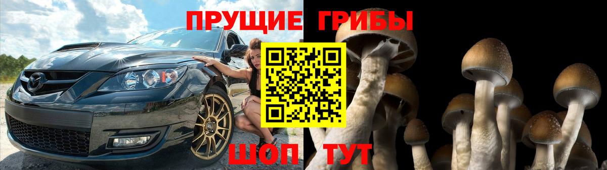 Псилоцибиновые грибы прущие грибы Коряжма